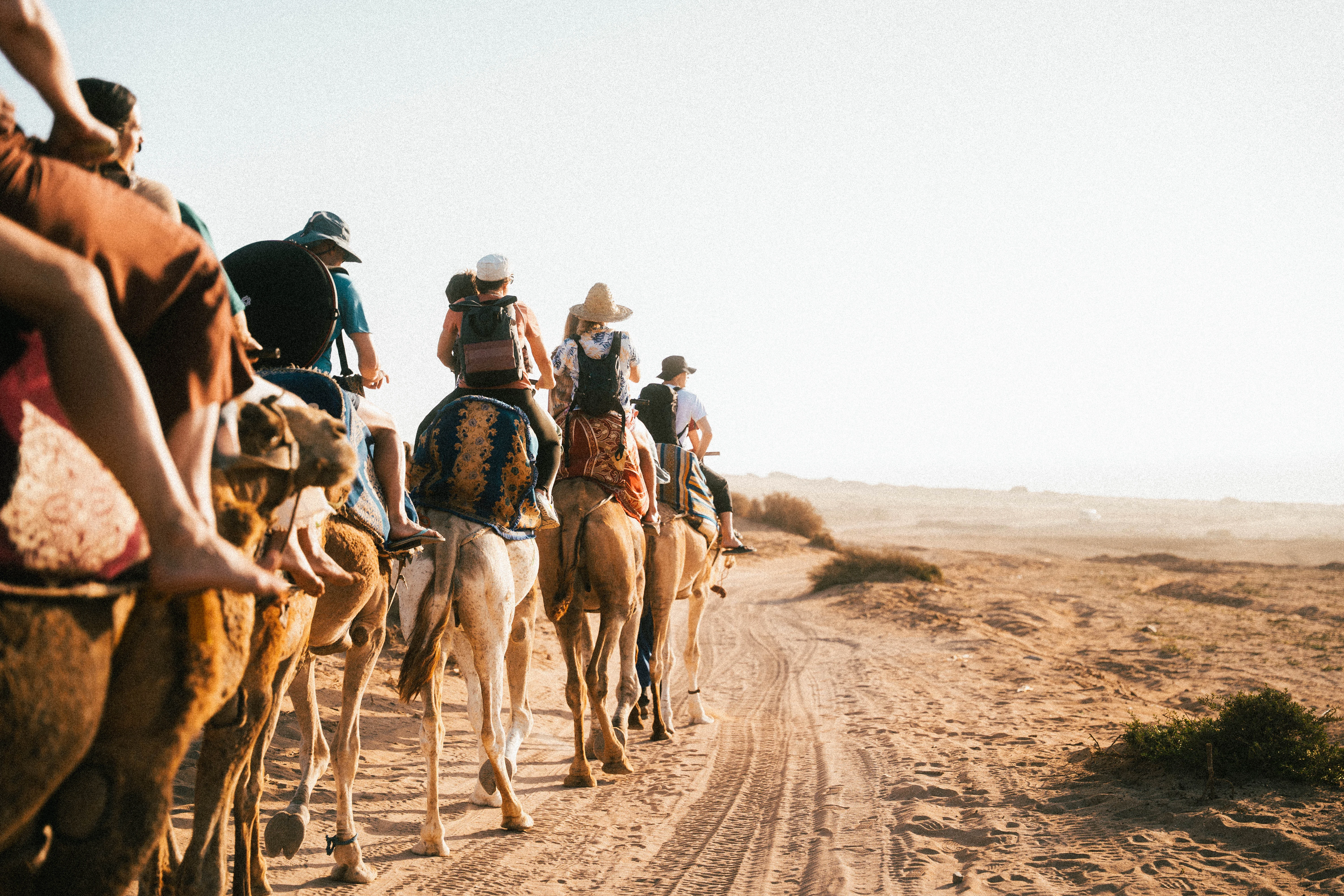 Timlaline Sand Dunes